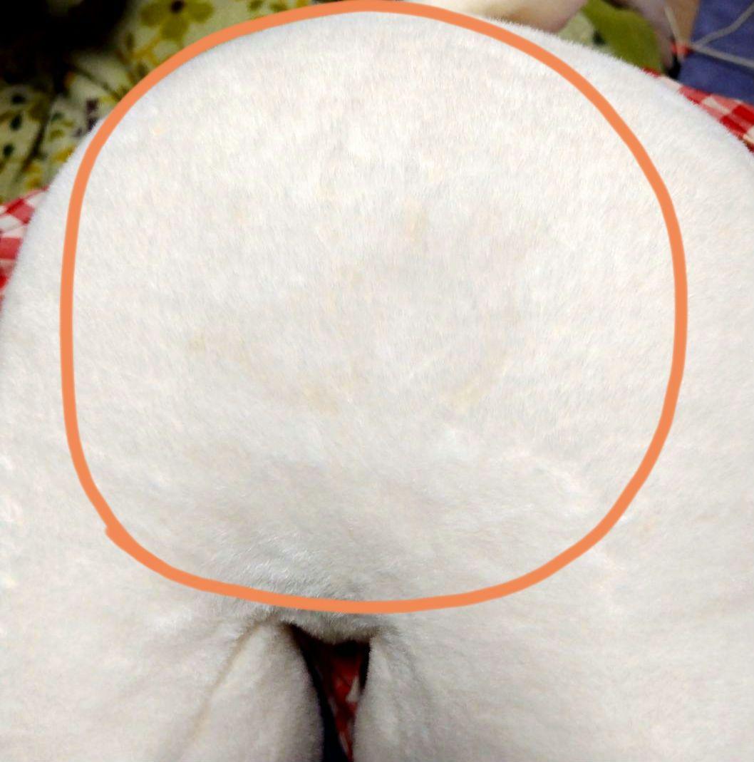 ✨レトロ✨HelloKitty✨ハローキティ✨ワンピースドレスぬいぐるみ✨日本製