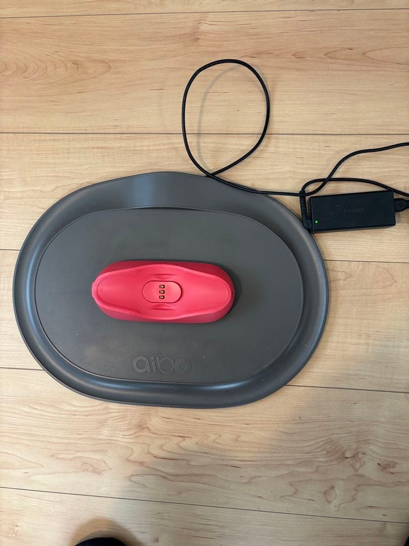 SONY/ソニー aibo/アイボ ERS-1000 本体