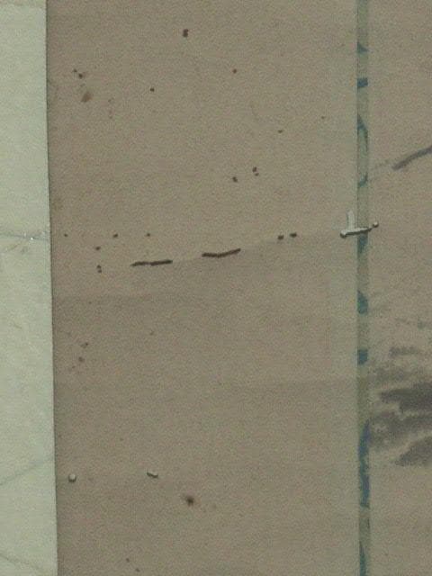 ♥掛軸　山水画　 成木 星洲 　掛け軸　骨董品