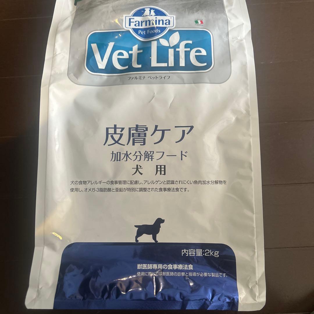 ともこ様専用】レース麦わら帽子 お得なまとめ買い 犬用アクセサリー