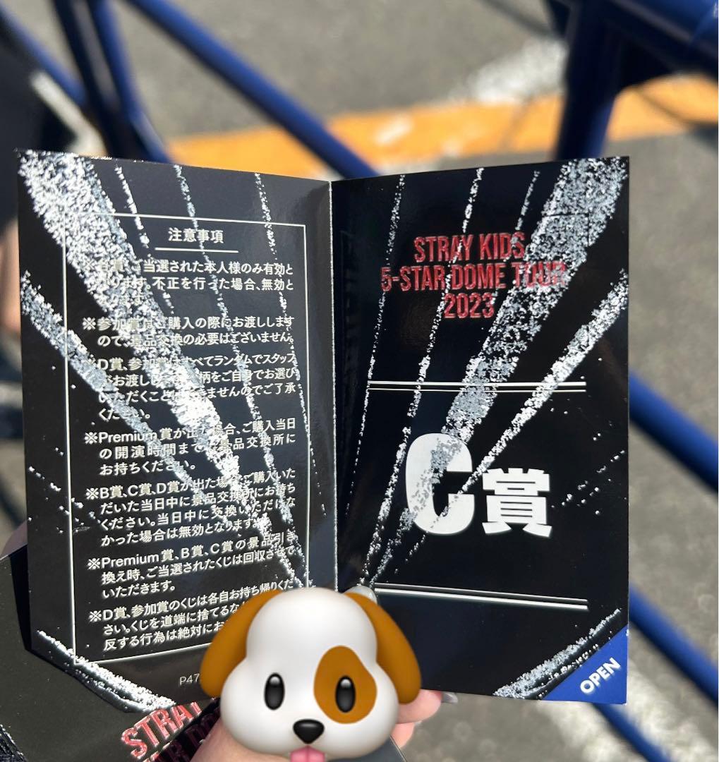 スンミン 直筆ソロサイン入りチェキ 5star