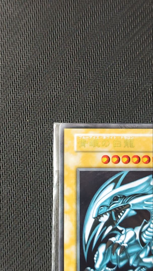 青眼の白龍 ステンレス