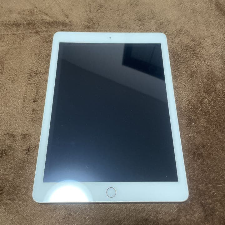 Apple iPad 節約 第5世代 32GB セルラーモデル SIMロック解除済 Apple