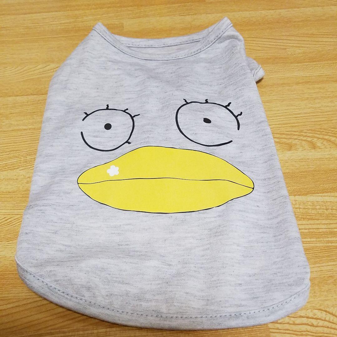 ☆エリザベス☆ 📝Expo2025 Report Vol.9 📢 🌟エリサのプロフィール Meet Elisa