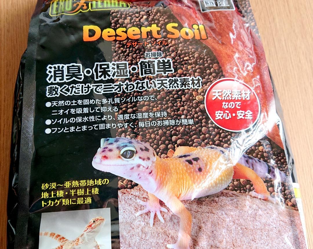 カナヘビ・爬虫類飼育11点セット 爬虫類 飼育セット11点 カナヘビ