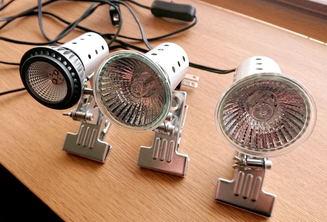 カナヘビ・爬虫類飼育11点セット カナヘビ デザート ソイル