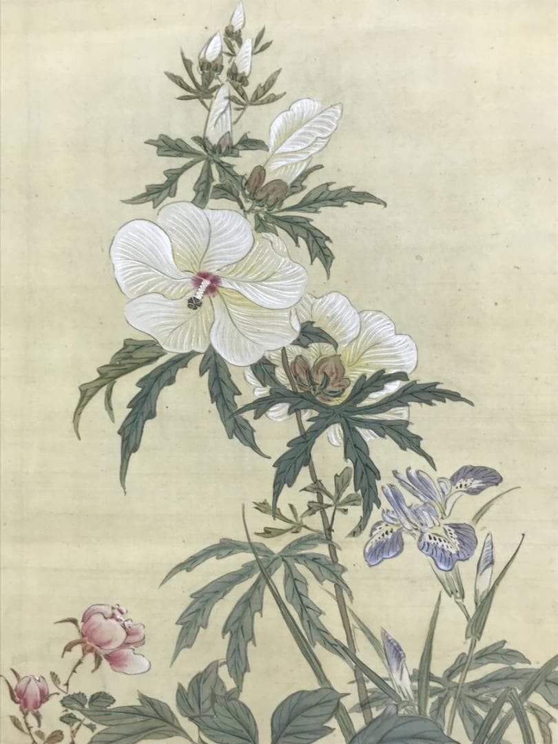 【真作】田能村小齋/牡丹草花図/花図/牡丹図/掛軸☆宝船☆AD-445