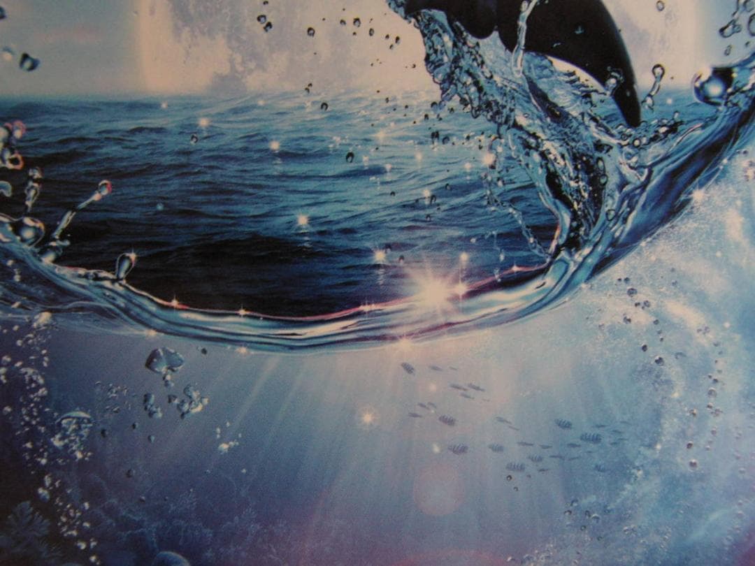 ラッセン プレシャスラブ シートのみ クリスチャン リース ラッセン 絵画