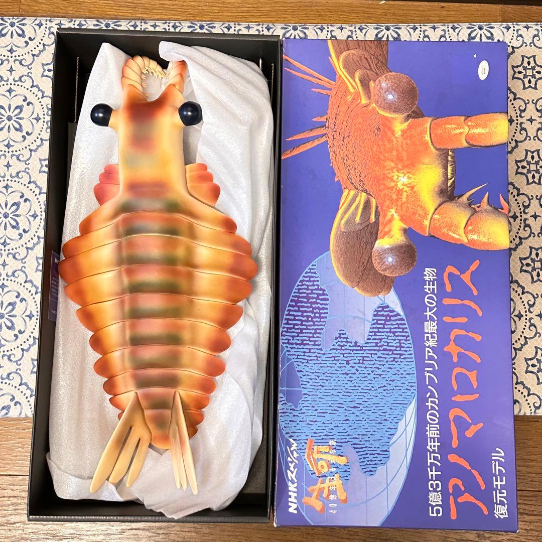 カンブリア紀 アノマロカリス フィギュア 化石 復元モデル NHK