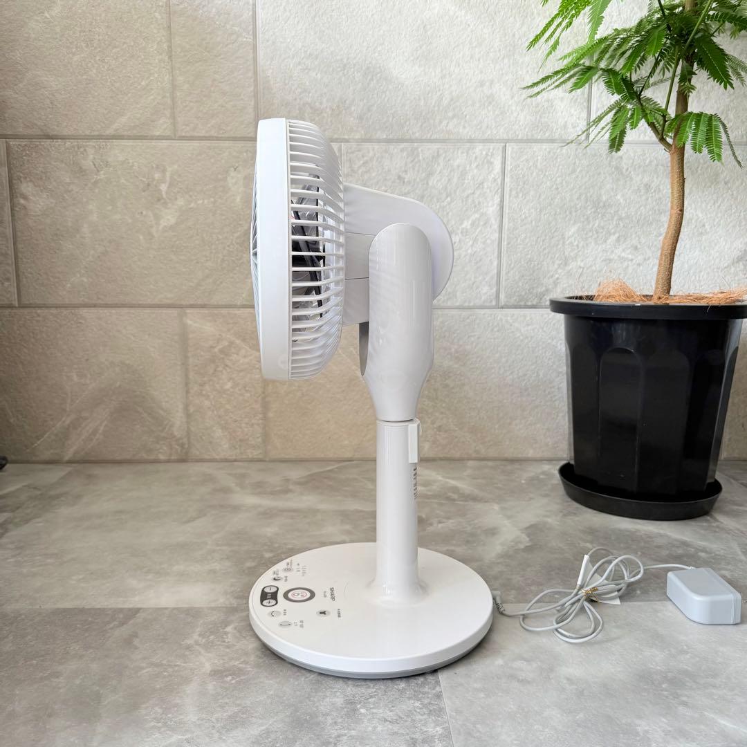 SHARP シャープ 扇風機 サーキュレーターPJ-L2DS プラズマクラスター