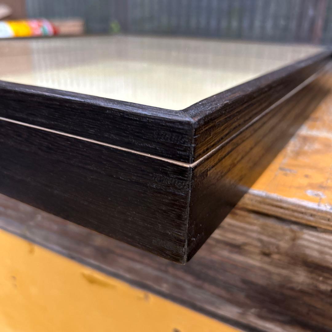 大型標本箱 2箱