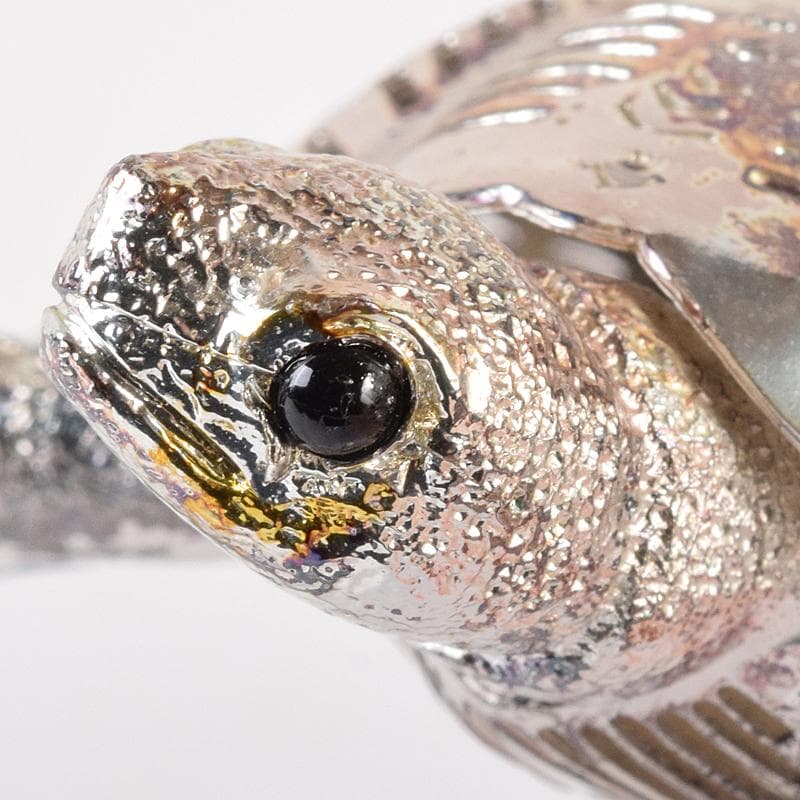 aki　クリストフル　リュミエールダルジャン　亀　M　R7838