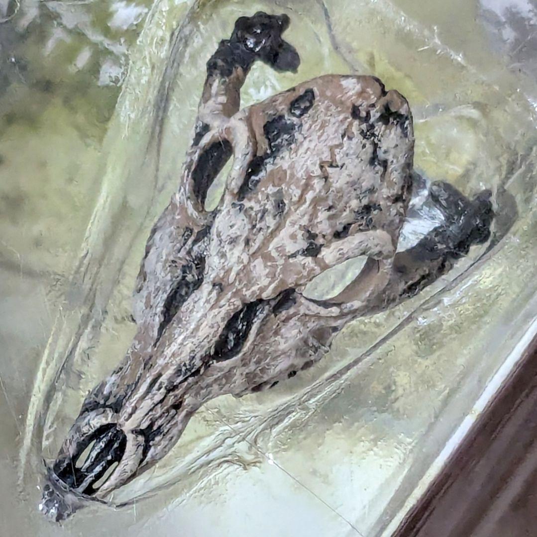 マクファーレン スポーン22 the VIKING AGE 3種 バルキリー 他 - メルカリ