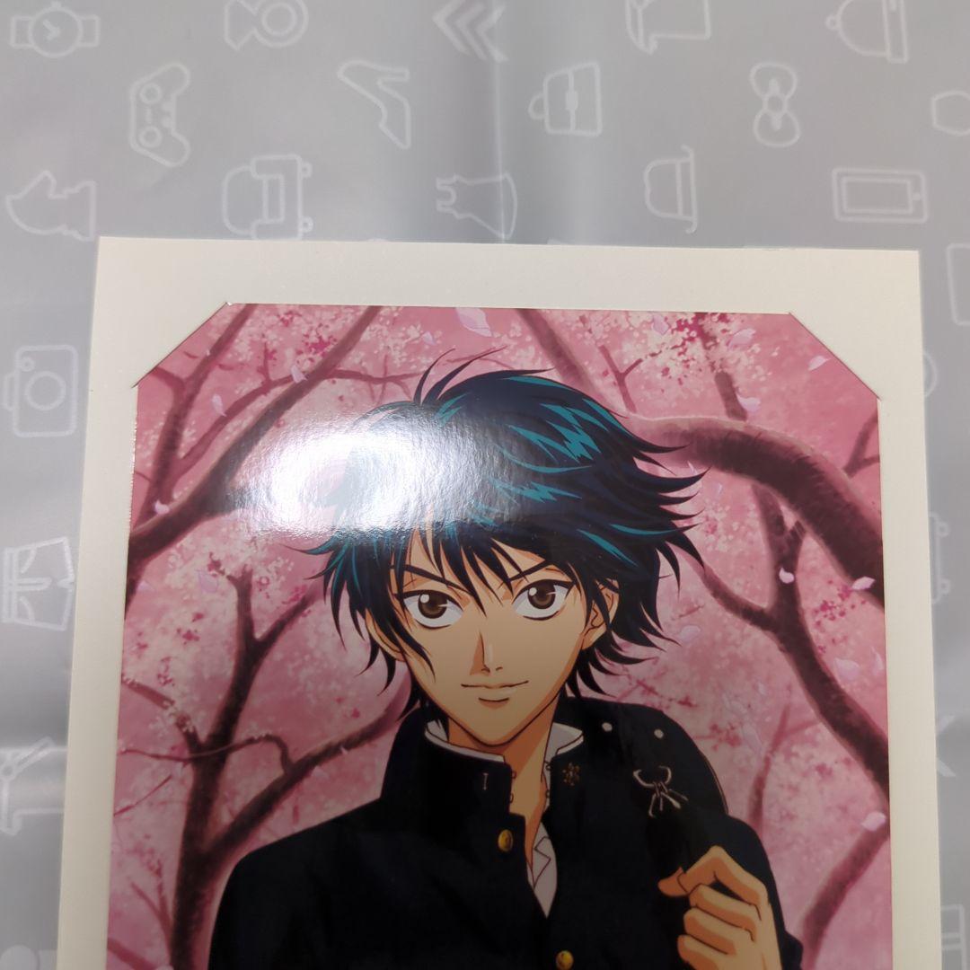 テニスの王子様 テニプリ 越前リョーマ スペシャルブロマイド 桜