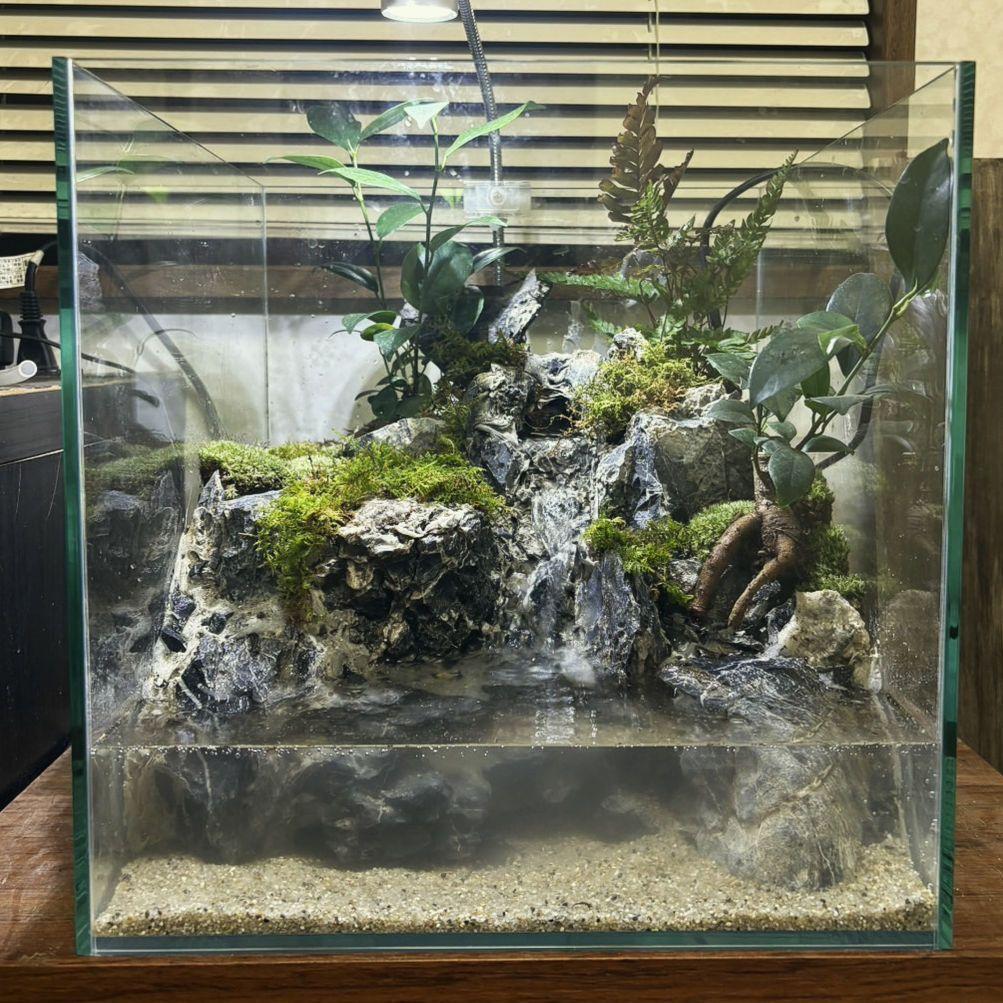 滝の流れるアクアテラリウム No.1142