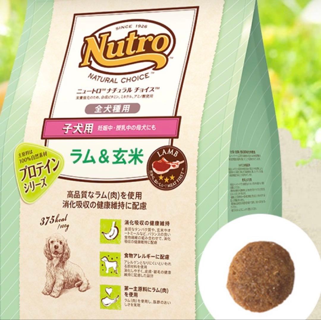 Nutro 子犬用 ドライフード ラム & 玄米 17kg｜ナチュラルチョイス