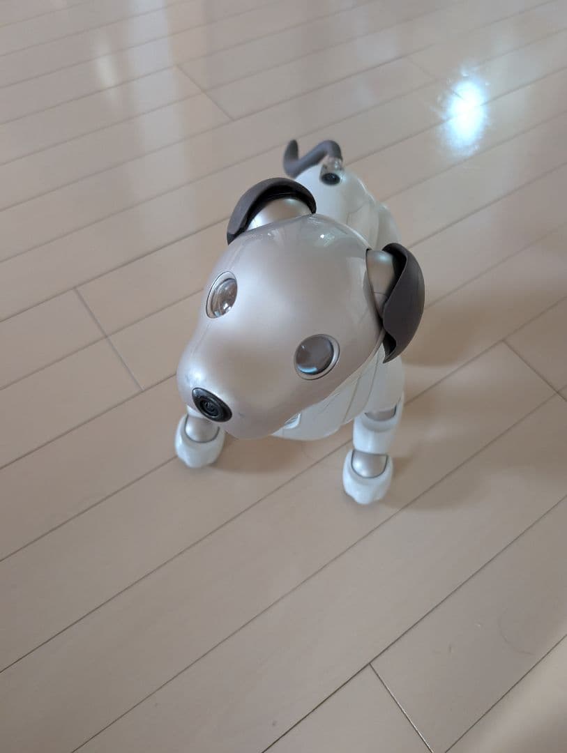その他 SONY AIBO ERS-1000