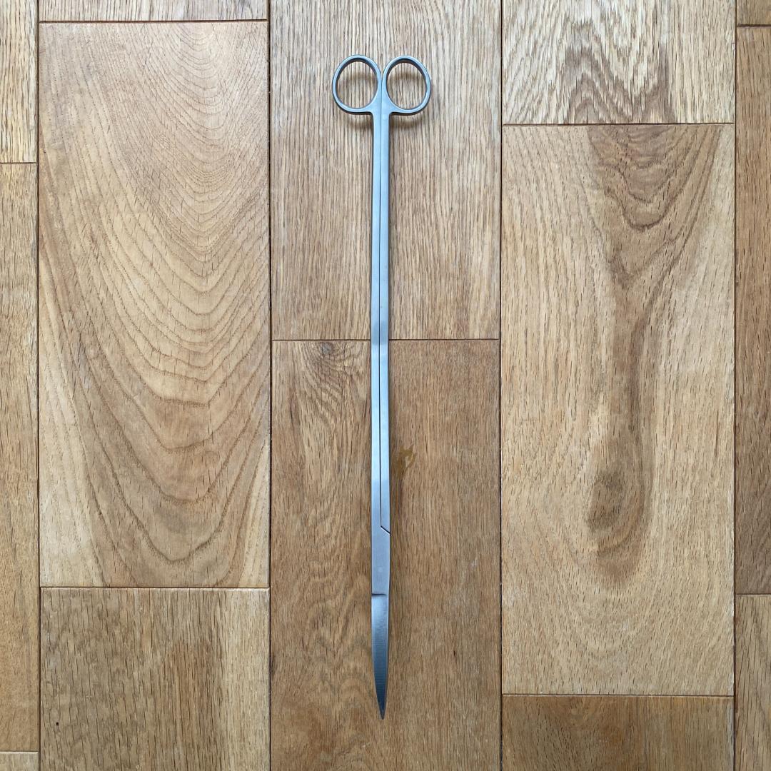 ADA プロシザース・ヌード 320mm