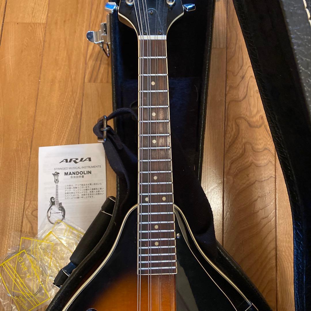 弦楽器 ARIA Mandolin
