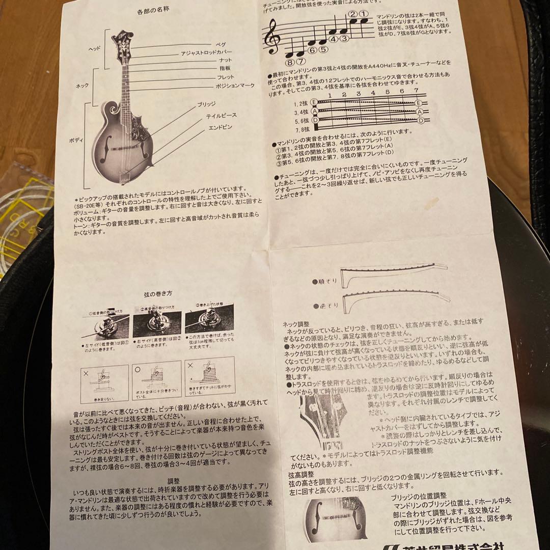 弦楽器 ARIA Mandolin