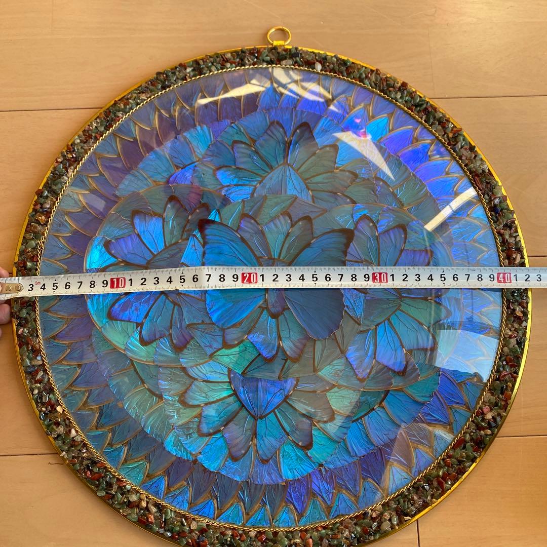 【ブラジル産】アンティーク モルフォ蝶 剥製 オブジェ 壁掛け