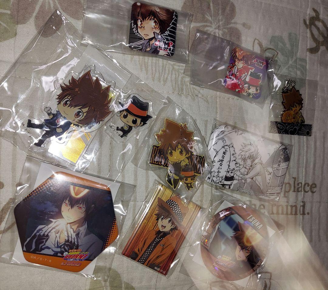 家庭教師ヒットマンREBORN！　沢田綱吉　リボーン　缶バッジ　アクスタ