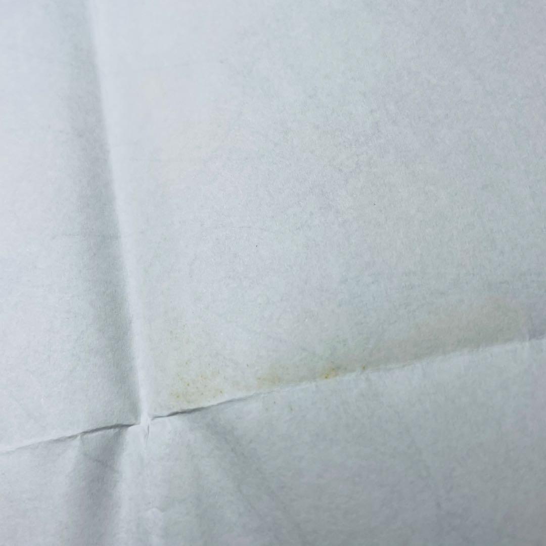 謎の彼女X 特典 イラストペーパー ビッグサイズ