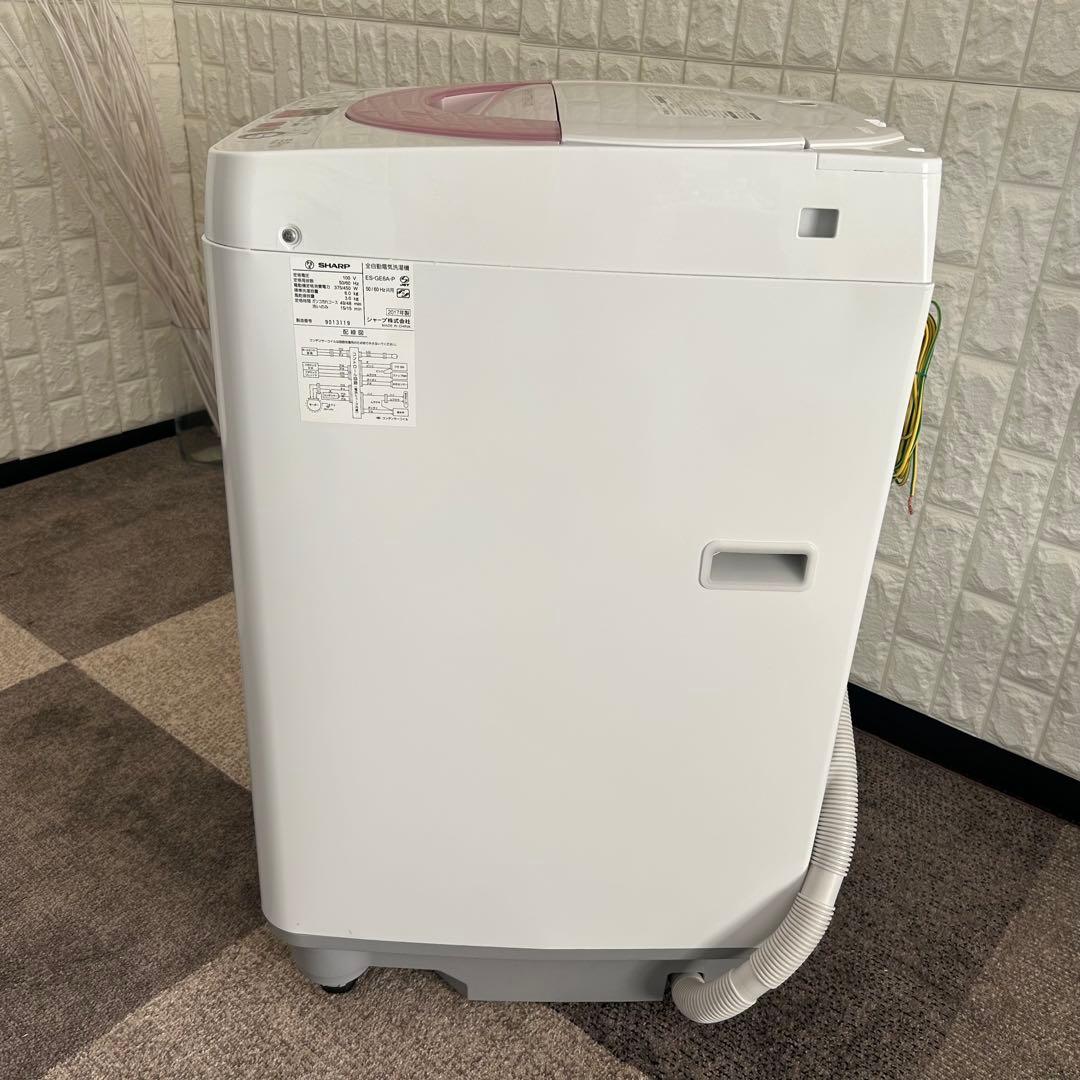 ピー助　レンジなし