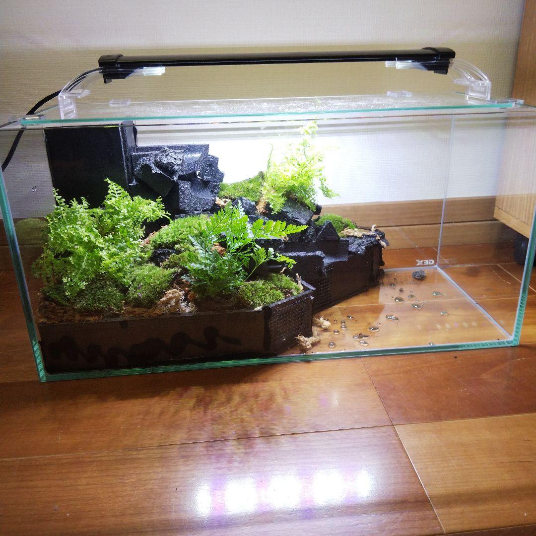 受注生産】滝のあるアクアテラリウム イモリウム 苔テラリウム アクア