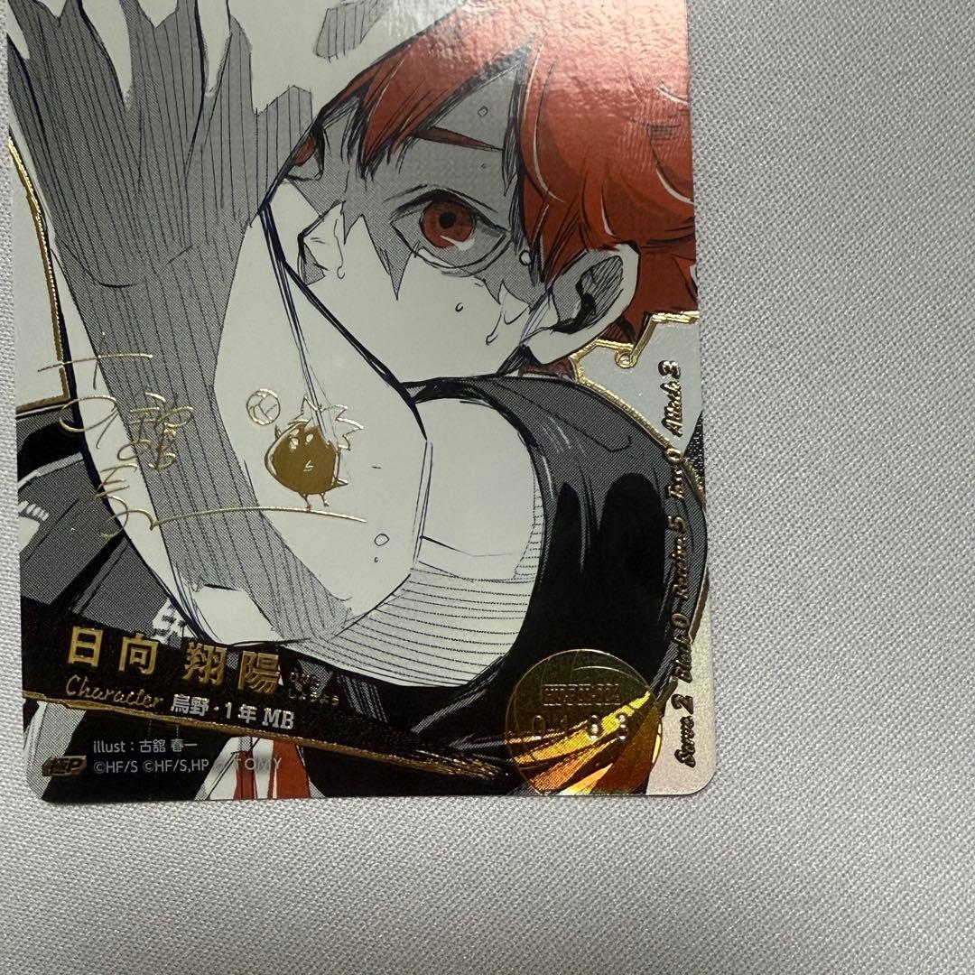 ハイキュー　日向翔陽　極P バボカ 古舘春一サイン