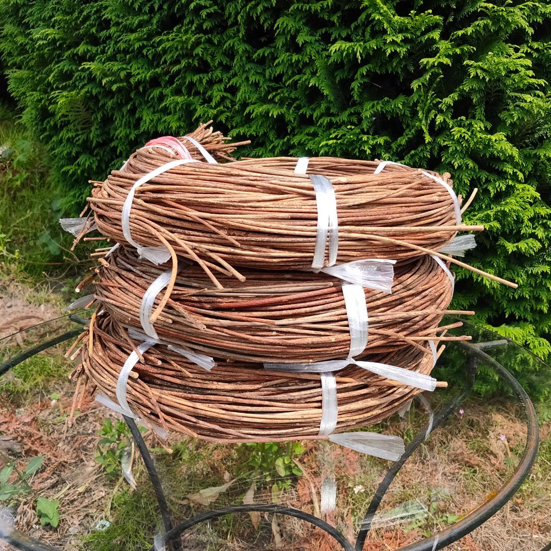 みっくん　青森県岩木山採取　あけび蔓　150cm～　練習用　3kg