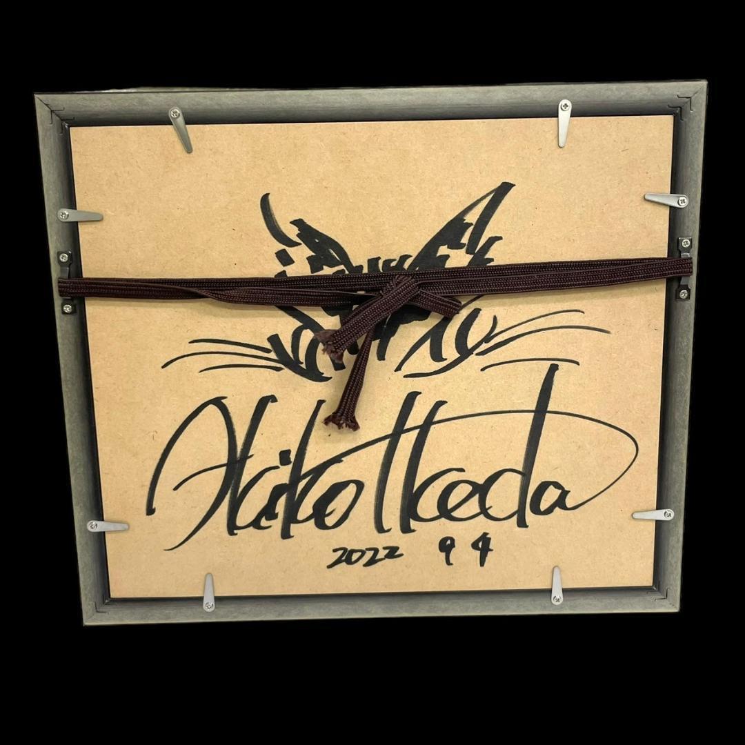 美品 ダヤン 池田あきこ 105/200 額入り サイン入り 絵画