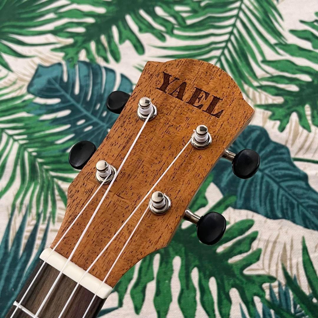 【入門セット】YAELバラ模様のコンサート・ウクレレ【ウクレレ専門店】
