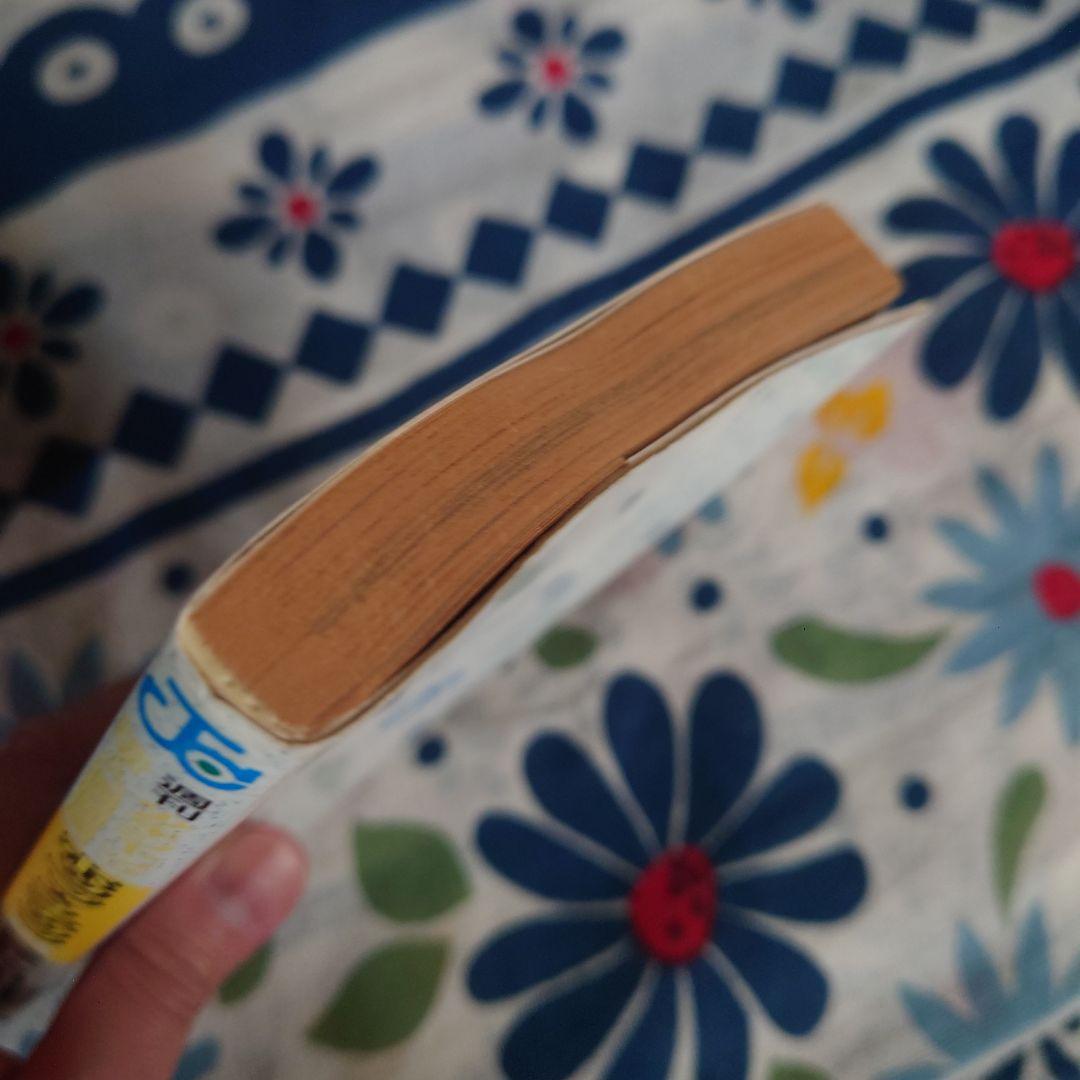 ホップステップ賞 SELECTION 13（ONE PIECE尾田先生作品収録）