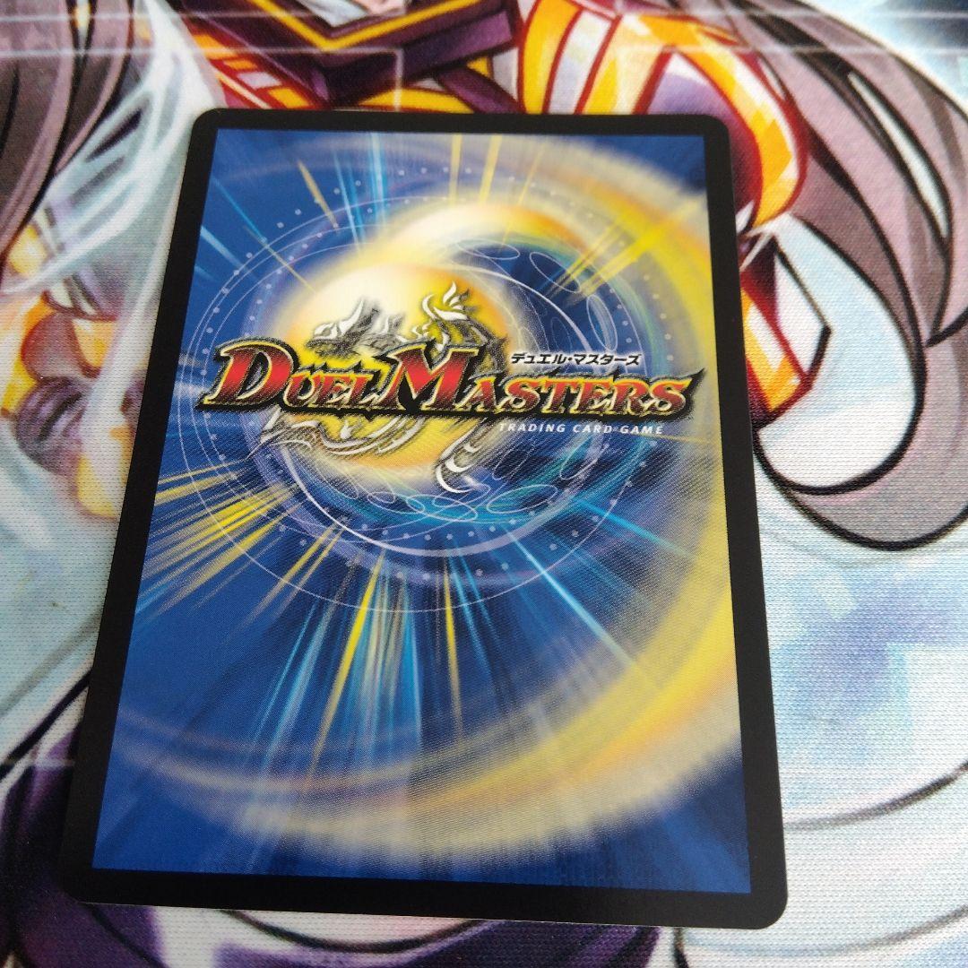 聖霊王の聖典 シークレット アルカディアスバイブル - メルカリ