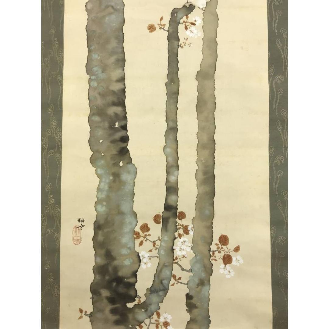 真作/山田耕雲/桜花小禽図/花鳥図/春の掛軸/掛軸/名家伝来/AK-706