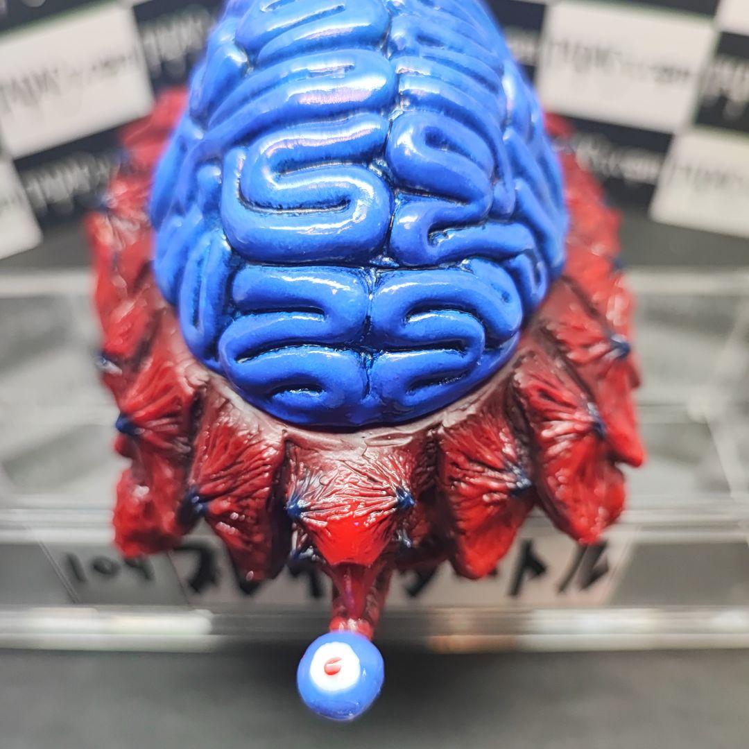 109ブレインタートル