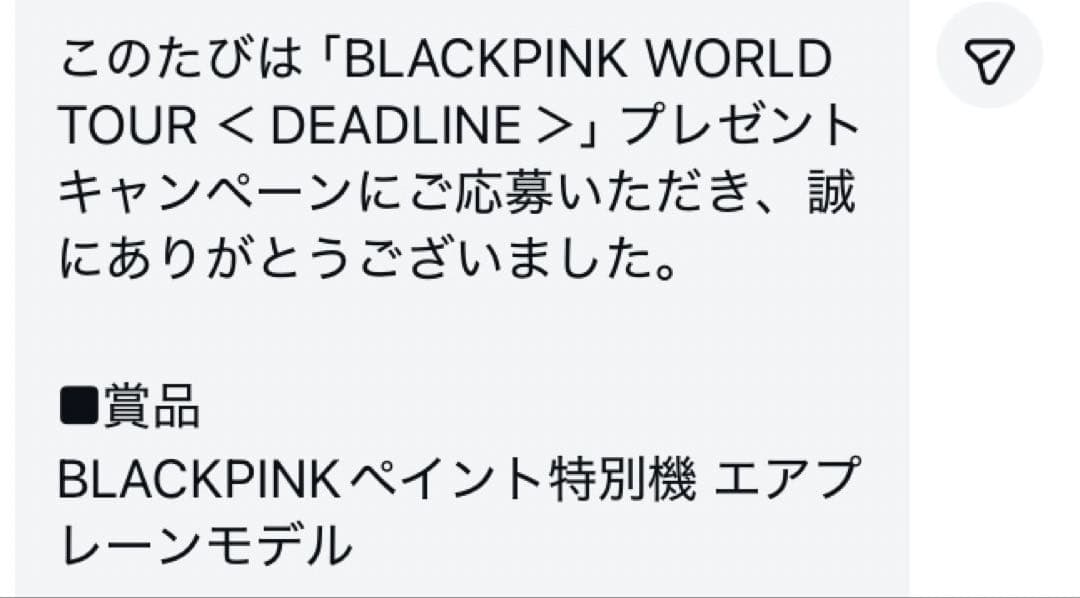 非売品/当選品】BLACKPINK 大韓航空 特別塗装機 モデルプレーン 模型