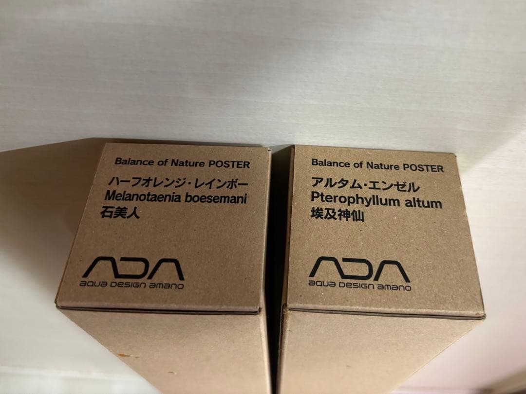 ADA ポスター新品　2枚セット ネイチャーアクアリウム・カレンダー2021 11月上旬発売 | ADA - NEWS