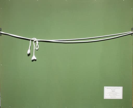 小暮真望 【雲海にたいする宝永富士】 セリグラフ 太陽と月 絵画