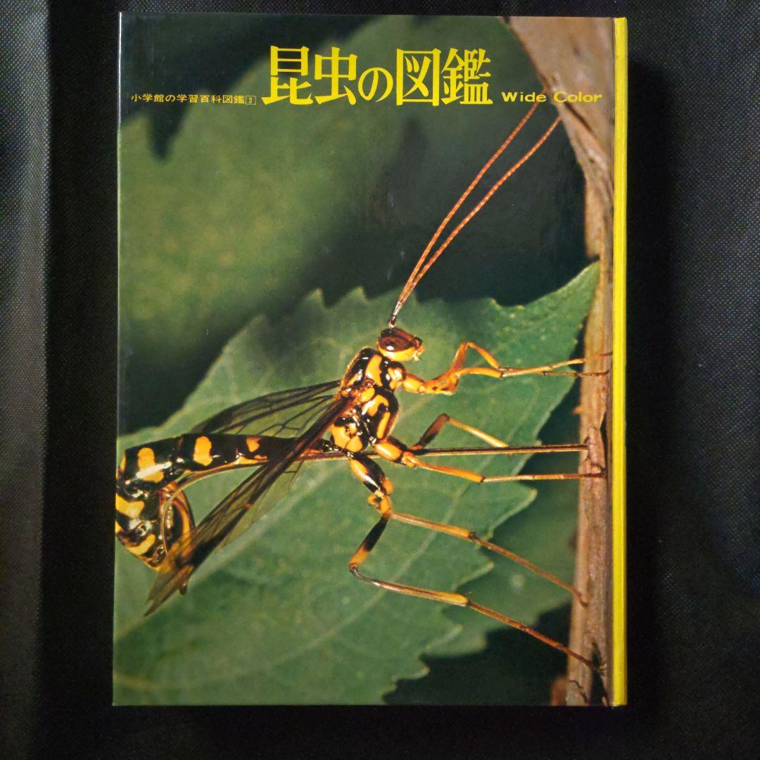 昆虫図鑑付録未使用折りたたみポスター 付海外カブトムシ＆クワガタ