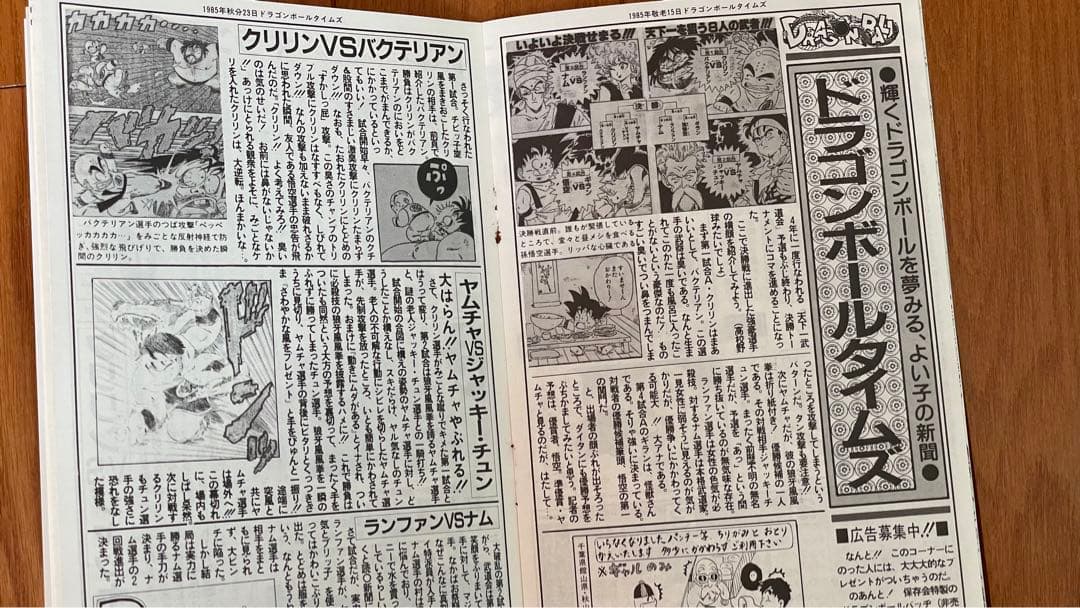 BIRDLAND PRESS 20鳥山明保存会 ファンクラブ会報