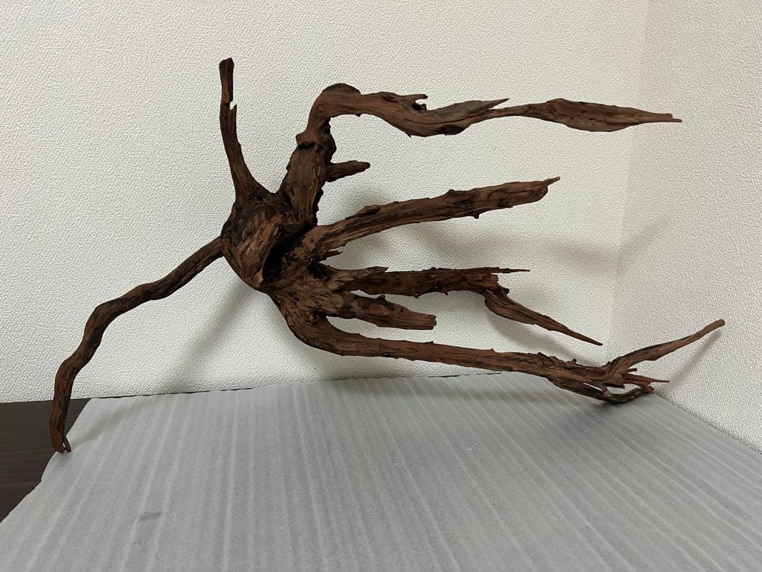 HX-083 流木 ホーンウッド マシンガンウッド アクアリウム ブランチ