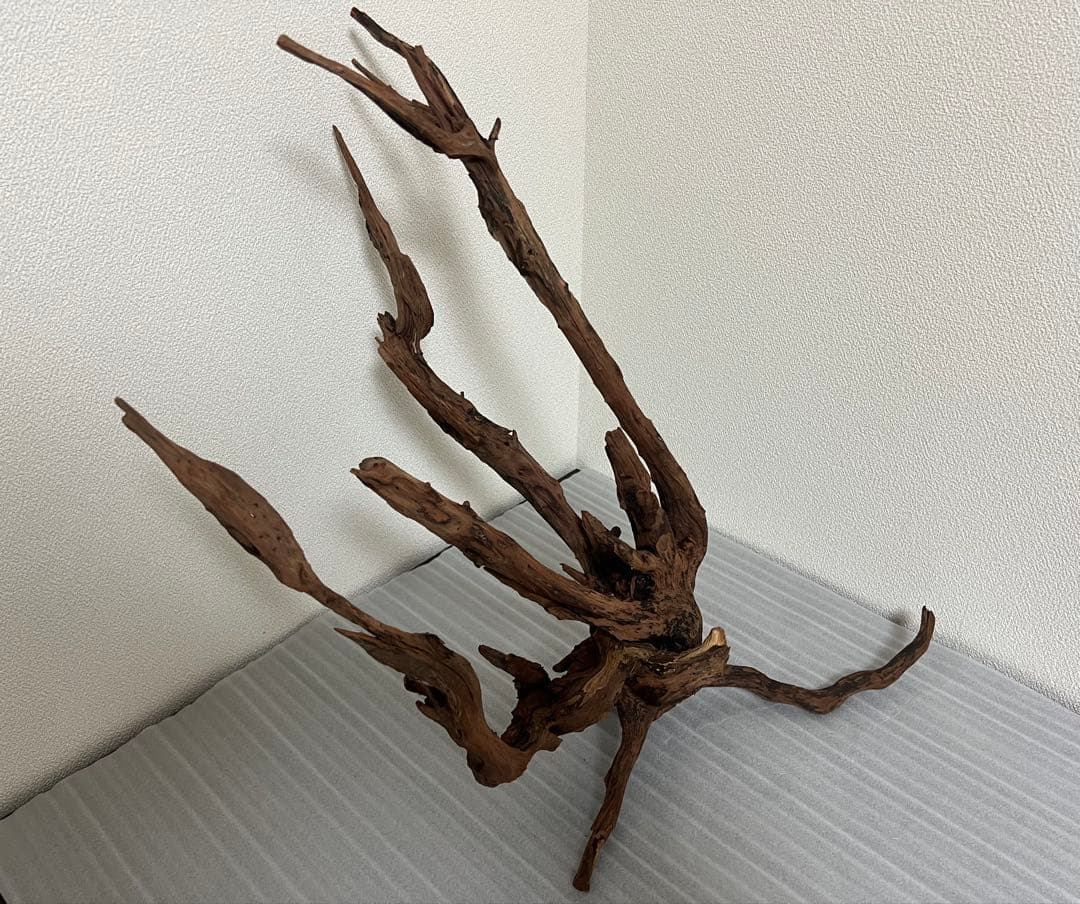 HX-083 流木 ホーンウッド マシンガンウッド アクアリウム ブランチ