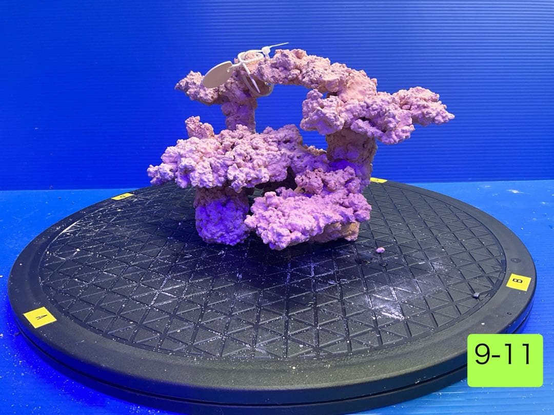 人工ライブロック　No.11 無害化処理済