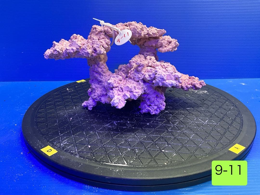 人工ライブロック　No.11 無害化処理済