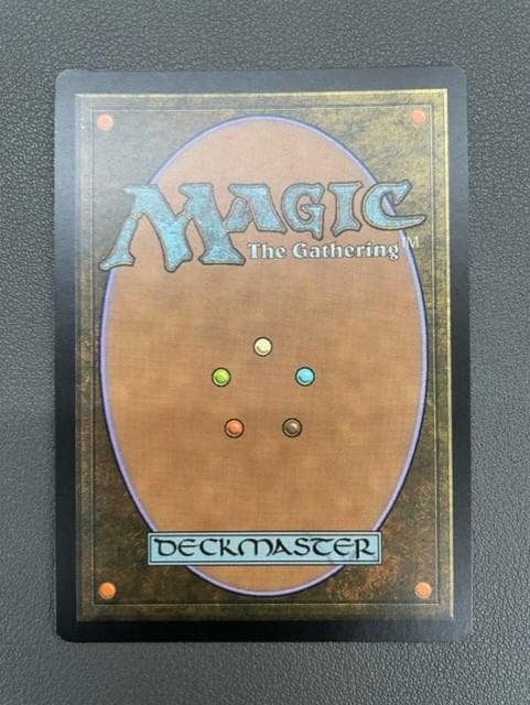 食物連鎖 英語 プロモFoil 送料 無料 通販