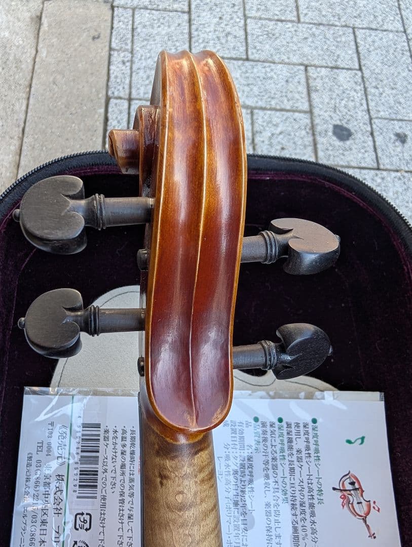 【特価】エレキバイオリン　David Gage　The Realist　RV4