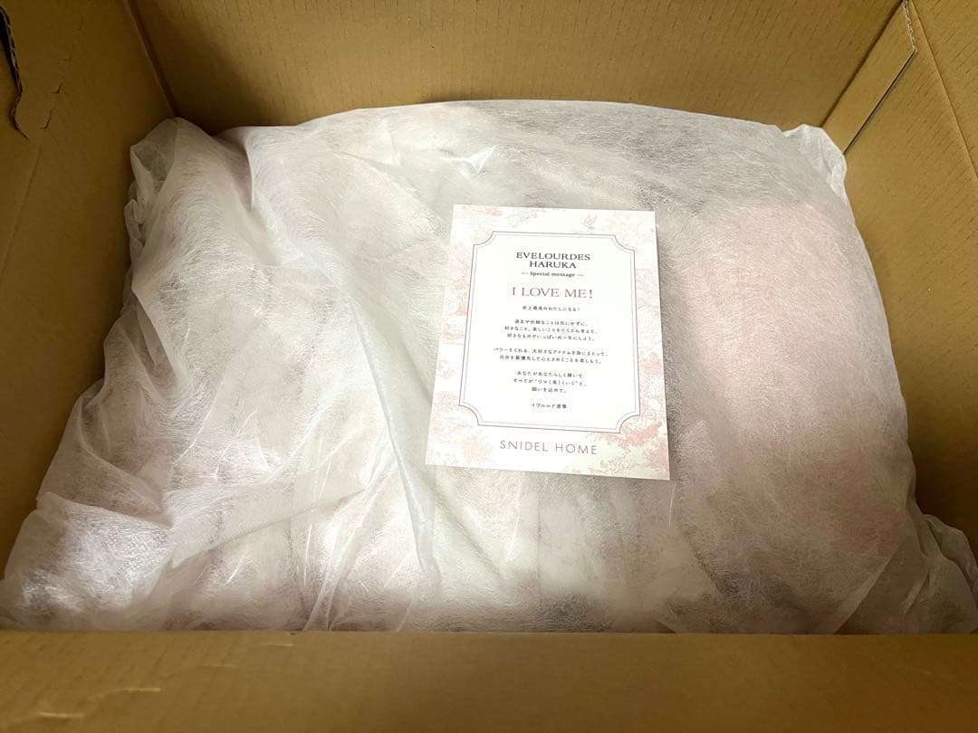 SNIDEL  2026 福袋　スナイデルホーム　抜き取りなし