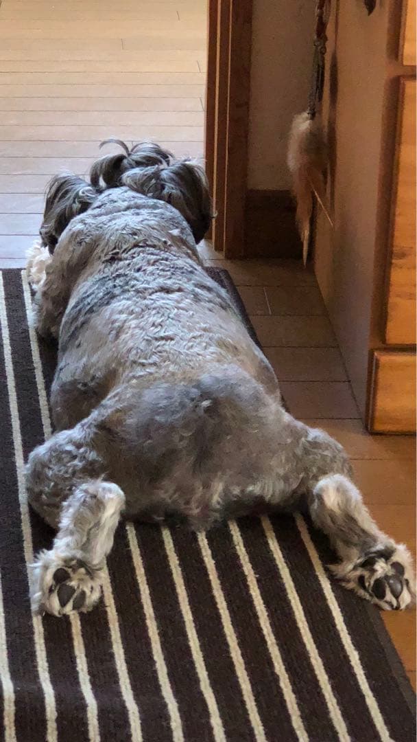 miniさま  確認用　その②